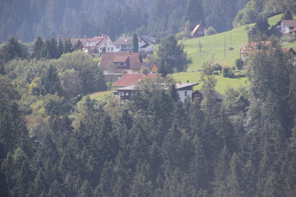 Hotel Schloss Silberberg Baiersbronn Exterior photo
